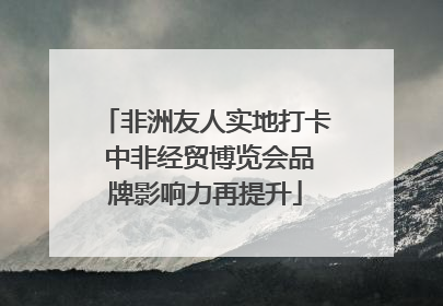 非洲友人实地打卡 中非经贸博览会品牌影响力再提升
